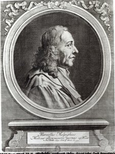 Marcello Malpighi aged 67 by Johannes Kip